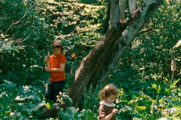 Nagroda za „dzieło niosące nadzieję”. Oto laureaci Nowych Horyzontów i American Film Festival