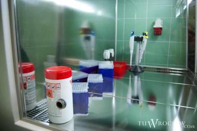 Międzynarodowi eksperci zjechali na wrocławskie Pracze Odrzańskie