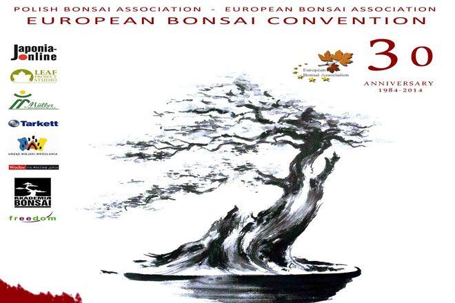  Miłośnicy Bonsai zjadą do Wrocławia z całego świata