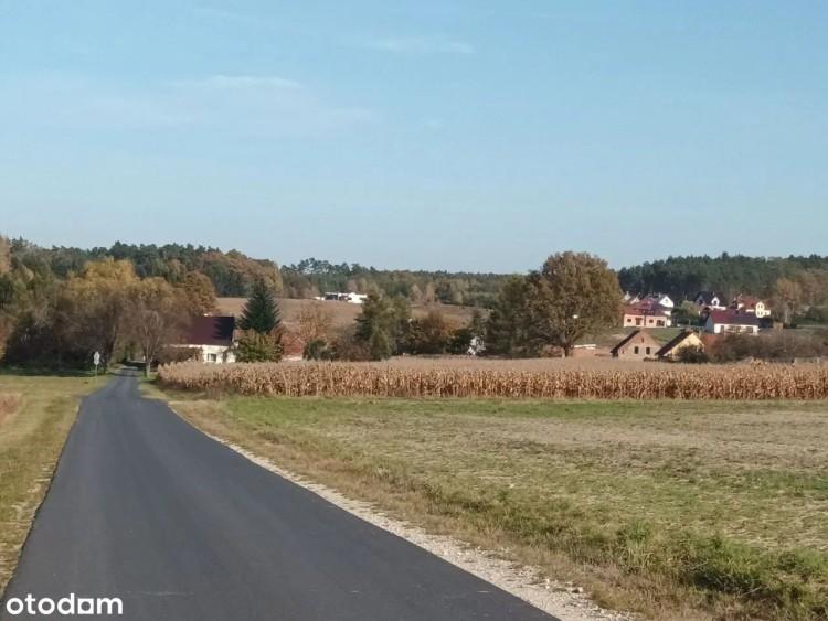 Działki pod Wrocławiem do 100 tys. zł - tam odpoczniesz od miasta