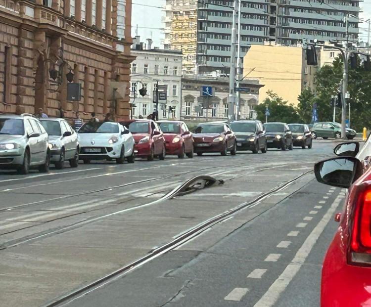 Wrocław: Rollercoaster na Podwalu. Szyna wygięła się od gorąca
