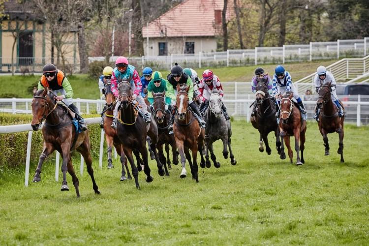 Ostatnie ściganie na Partynicach. Tegoroczny sezon wyścigów konnych zakończy się w Święto Niepodległości