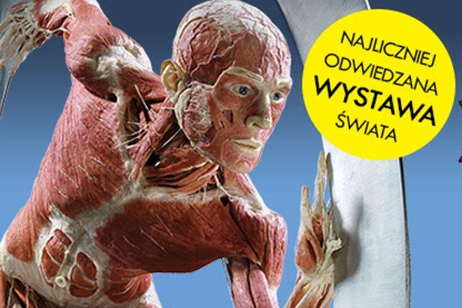 Niesamowita wystawa Body Worlds we Wrocławiu teraz zachęca dodatkowymi spotkaniami