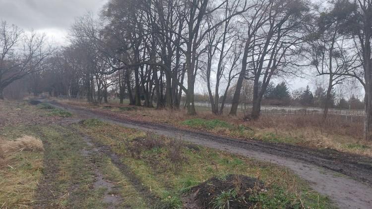 Wrocław: Kolejne podejście do strefy rekreacji na Partynicach