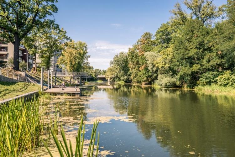 Jutro River Day – bezpłatne rejsy po Odrze i Oławie