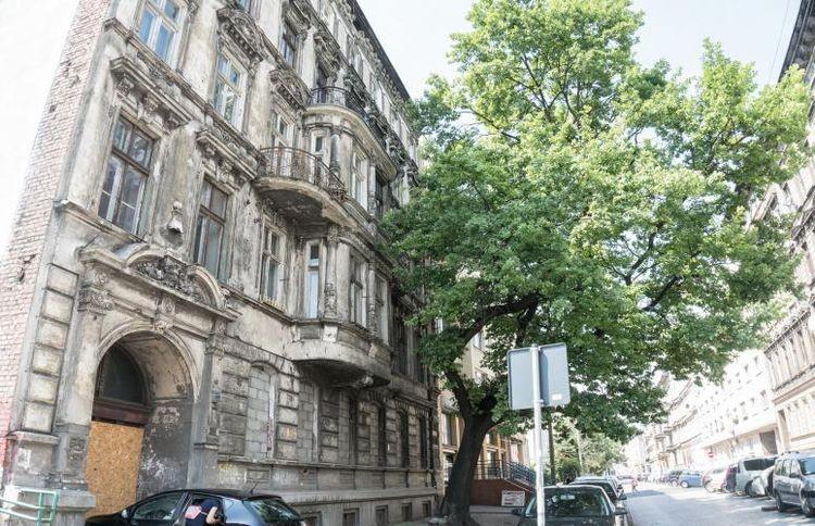 Premiera opowieści rzemieślników z Przedmieścia Oławskiego