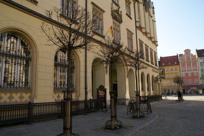 Po ponad roku do Rynku i na Świdnicką wrócą drzewka. Mają pojawić się w kwietniu