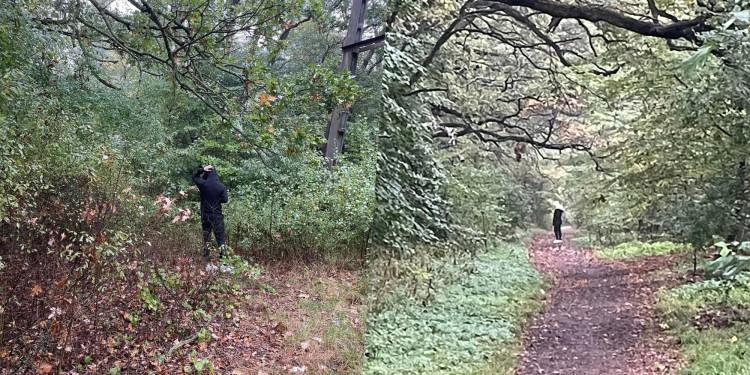 Wrocław: Zboczeniec grasuje w parku. Policja: Mieliśmy takie sygnały
