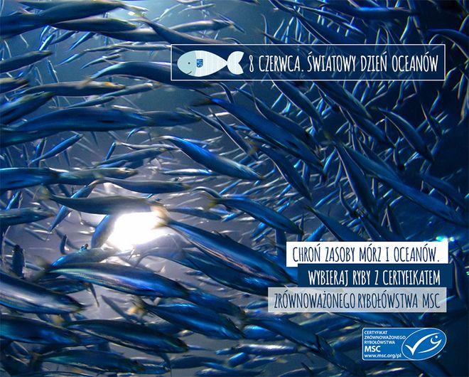 Światowy dzień oceanów we Wrocławiu