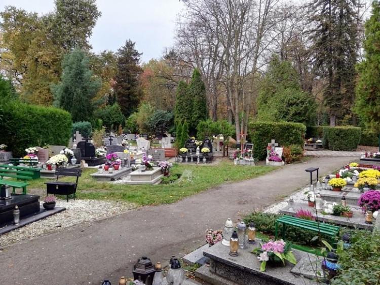 Nowy cmentarz komunalny we Wrocławiu. 87 tys. grobów na 30 hektarach