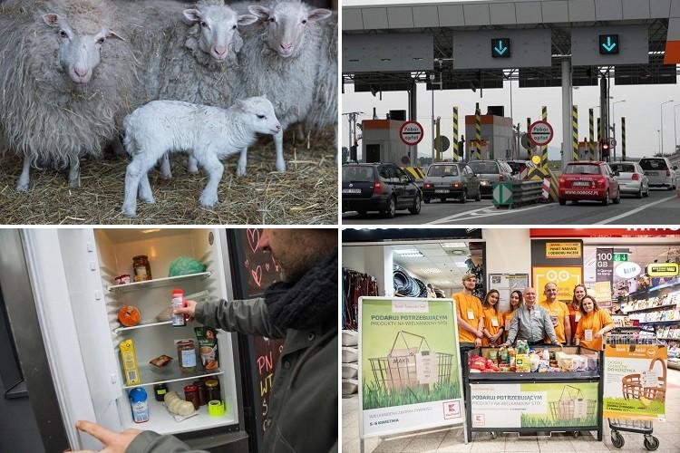 Korki na autostradzie i przedświąteczna zbiórka jedzenia [PODSUMOWANIE DNIA]