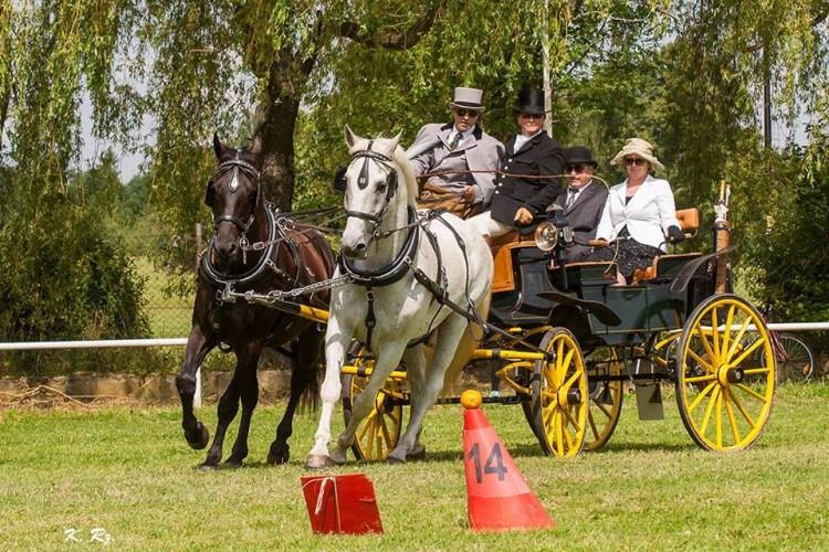 Pokaz historycznych zaprzęgów konnych na Partynicach