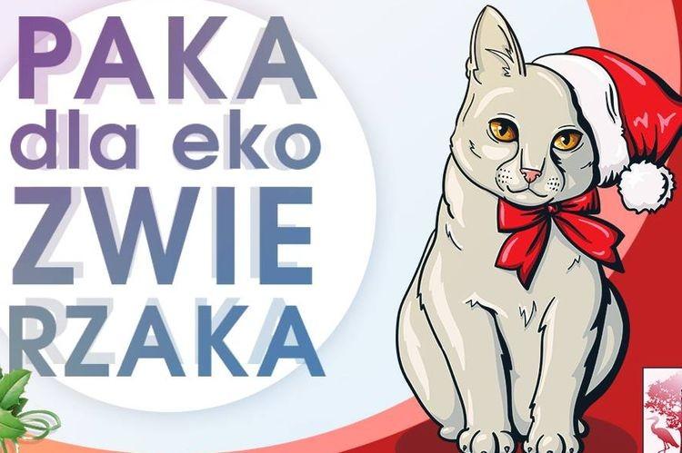 Ekostraż zbiera świąteczne paczki dla zwierząt