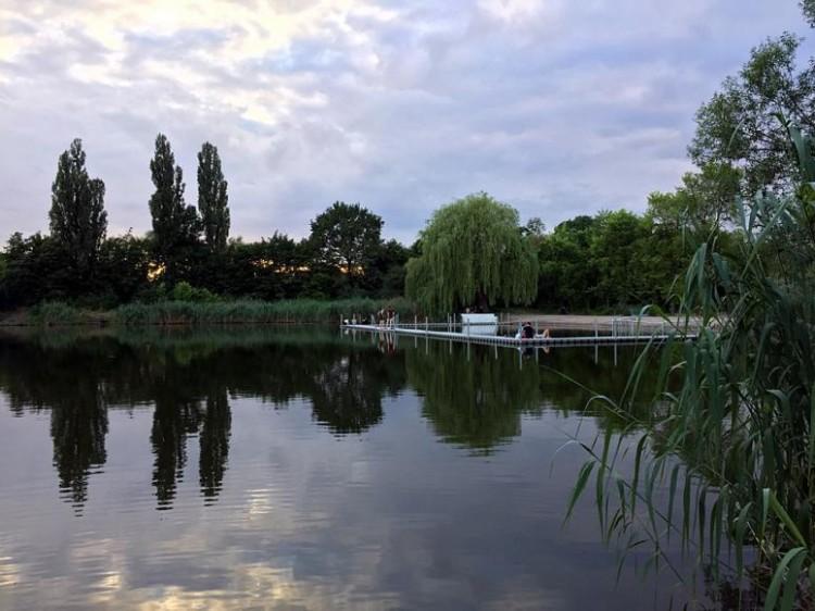 Sinice we wrocławskich kąpieliskach. Jedno otworzą, zamykają drugie