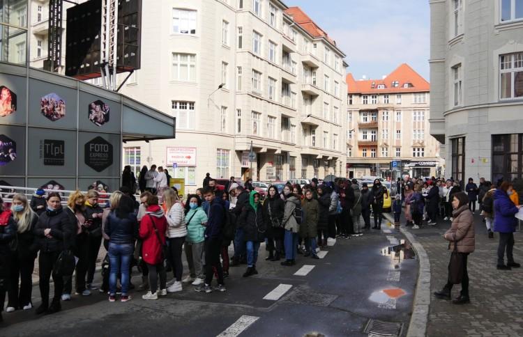 Tłum Ukraińców w kolejce po PESEL. Pierwsze zderzenie z wrocławską rzeczywistością