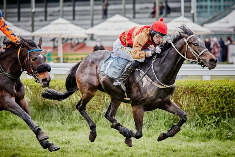 Październikowe emocje na Partynicach za nami. Larizano wygrywa pasjonującą gonitwę o Crystal Cup 2021
