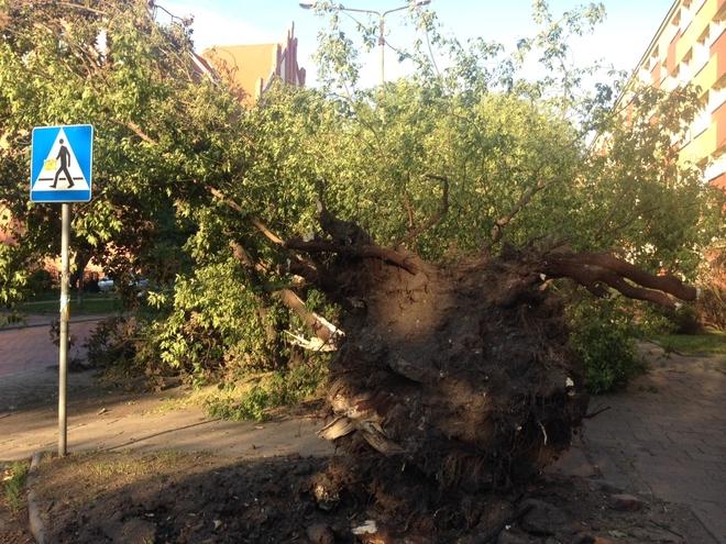 Przez Wrocław znów przejdzie potężna nawałnica z gradem? Jest ostrzeżenie 