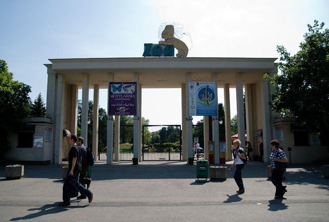 Zimą tańsze bilety do ZOO