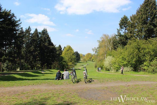 Wrocławskie Trasy Rowerowe. W stolicy Dolnego Śląska szlaków dla cyklistów jest mnóstwo