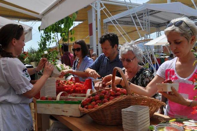 Dolny Śląsk rozpoczyna zmasowaną promocję na światowej wystawie EXPO w Mediolanie