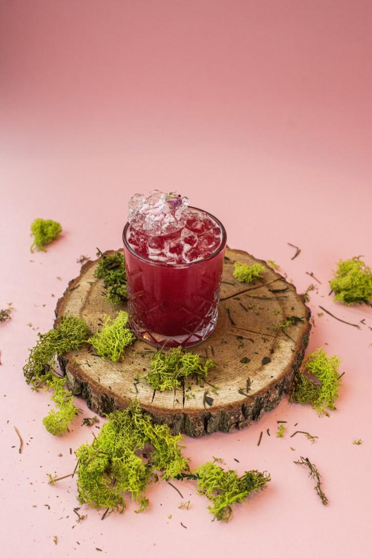 Modna restauracja otwiera się we Wrocławiu. Stawia na naturę [ZDJĘCIA]