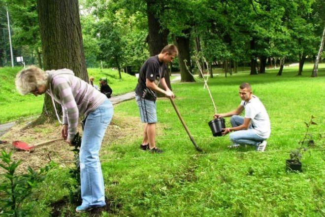 Wrocławska szkoła pomaga pszczołom i dostała na to więcej pieniędzy