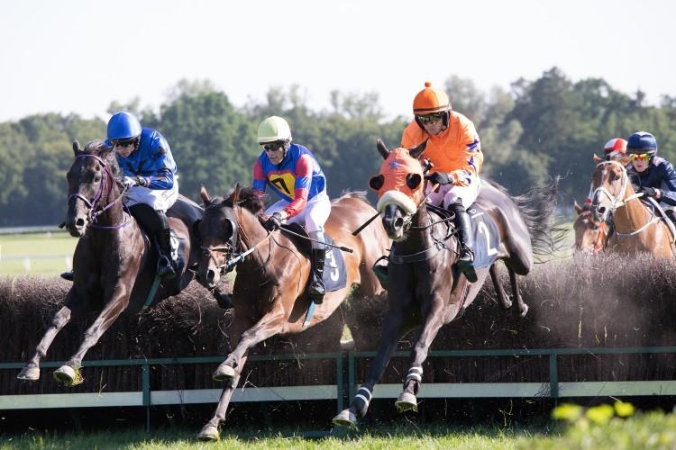 Cosmic Magic triumfuje w nagrodzie Wrocławska Trial [ZDJĘCIA]