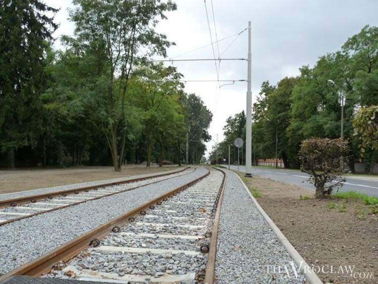 Śmierć w Parku Grabiszyńskim