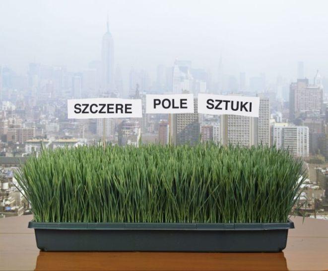 0.33 m2 Szczerego Pola Sztuki