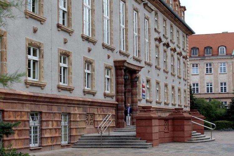 Klienci szturmują ZUS. Jak długie są kolejki?