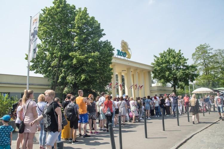 Wrocław: zoo prosi o darowizny na ginące gatunki i powiększa radę nadzorczą