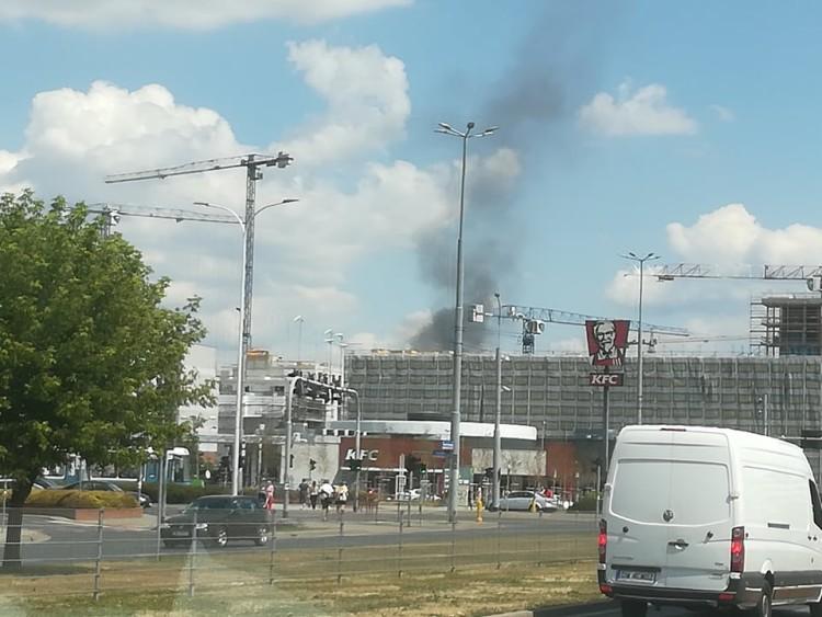 Znów paliły się ogródki działkowe. Tym razem przy Krakowskiej