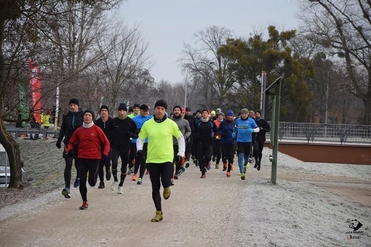 Dużo rekordów, sporo debiutów - 185. edycja biegu parkrun za nami