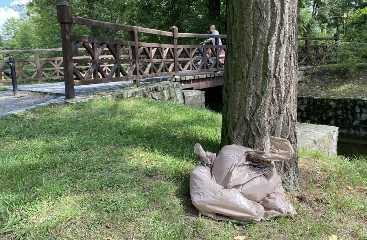 Wrocław: Wyłowili ze stawu martwe ryby. Zostawili je pod drzewem w parku