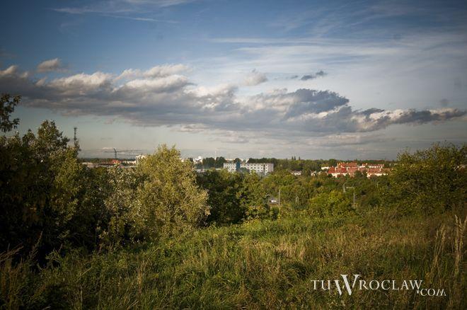 Chcą na nowo zagospodarować wzgórze na Gaju. Pytają mieszkańców osiedla o zdanie