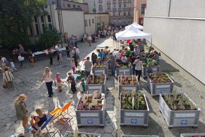 Nadodrzański Ogród Społeczny – nowe zielone miejsce dla mieszkańców na mapie Wrocławia [FOTO]