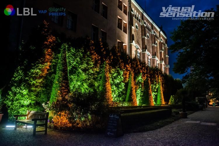 Ogród Botaniczny UWr zachwyci iluminacją. Specjalne, świąteczne pokazy