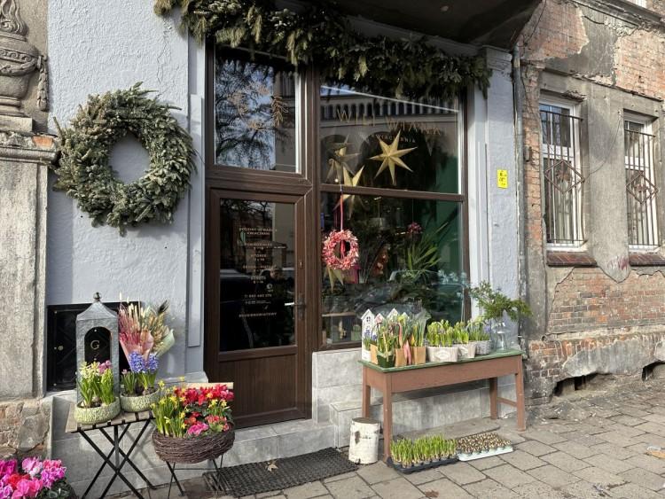 Faceci z ręką do kwiatów. Odwiedzamy męską kwiaciarnię na Nadodrzu