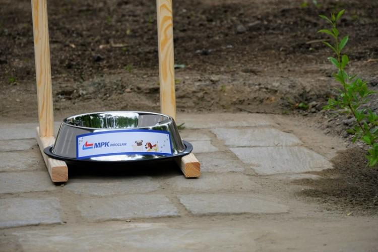 Wrocław: Na terenie miasta stanie 10 wodopojów dla psów
