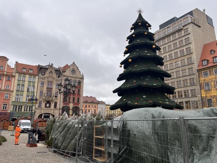 Choinka na Rynku prawie gotowa. Co o niej sądzicie?