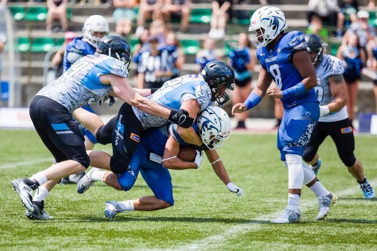 Panthers walczą o miejsce we wrocławskim Polish Bowl XIII [ZAPOWIEDŹ]
