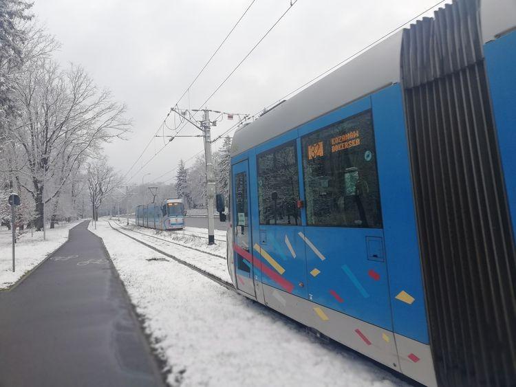 Śnieg we Wrocławiu [ZOBACZ ZDJĘCIA]