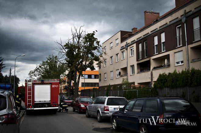 Strażnicy miejscy karzą mandatami wrocławian, którzy spalają co popadnie