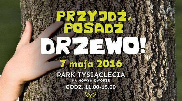 Park Tysiąclecia: w ten weekend wrocławianie znów będą sadzić drzewa