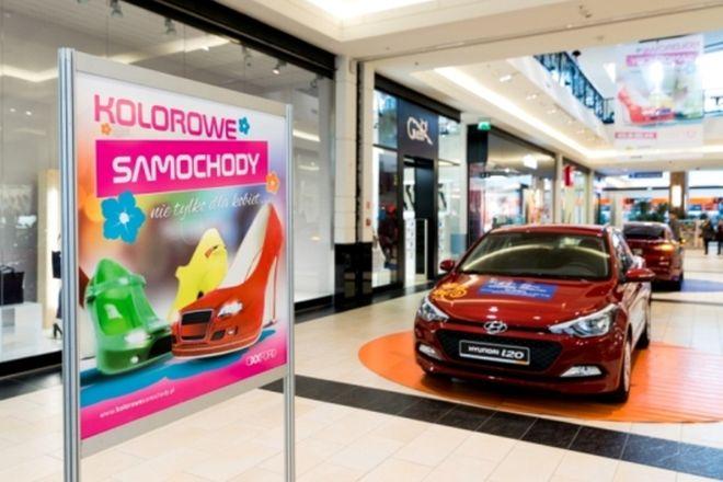 We Wrocławiu trwa wystawa samochodów. Wybierają też najbardziej kobiece auto tego roku