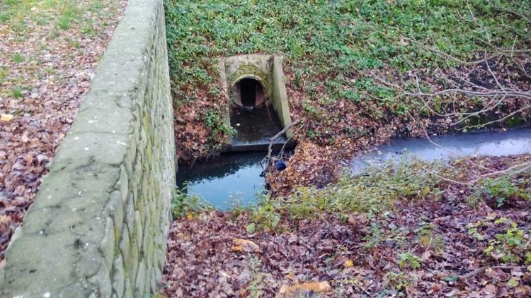 Wrocław: Zieloni domagają się oczyszczenia „Smródki”