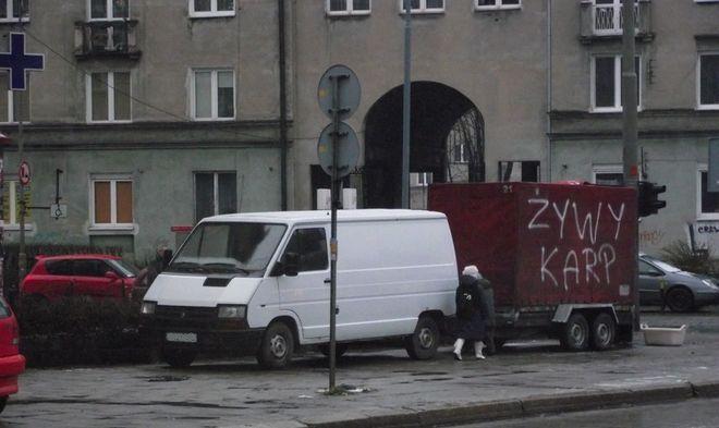 Dochodzenie w sprawie znęcania się nad karpiami wznowione. Sąd przyznał rację Ekostraży