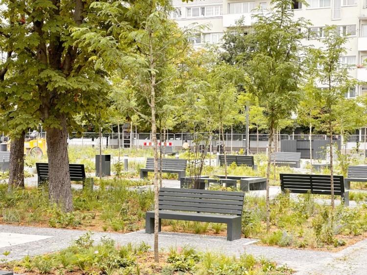 Wciąż kradną miejskie krzewy i kwiaty. Straż miejska: To plaga, pilnujemy Nowego Targu