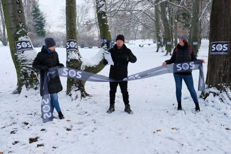 Czarne szarfy na drzewach na Sępolnie. Co to za akcja? [ZDJĘCIA]