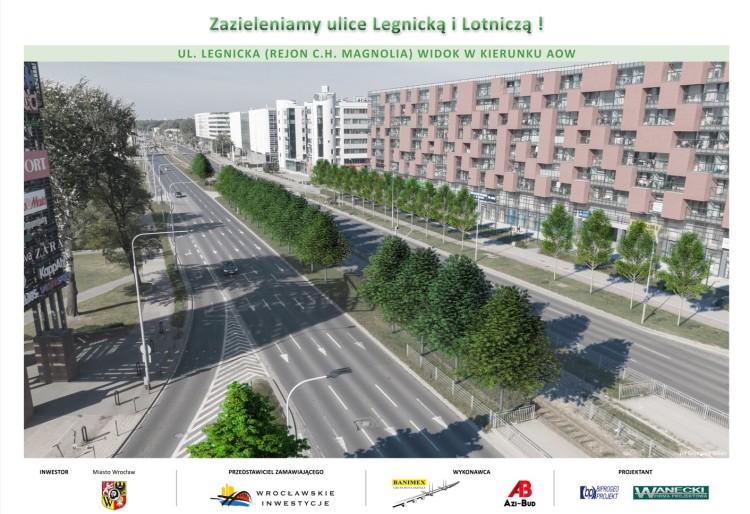 Legnicka i Lotnicza mają być zielone. Posadzą prawie 1000 drzew